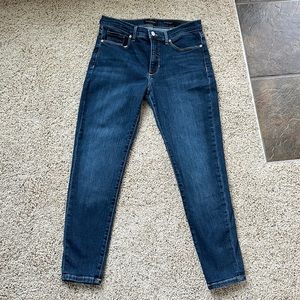 Banana Republic Mid-Rise Skinny Jeans Dark Wash